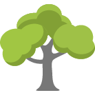 San Rafael Tree Removal